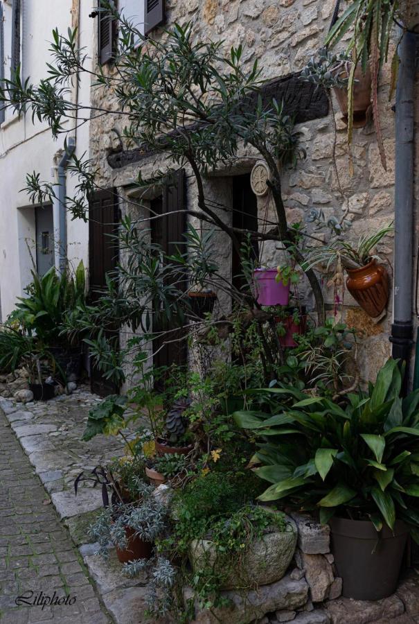Cosy Provencal Διαμέρισμα Belgentier Εξωτερικό φωτογραφία