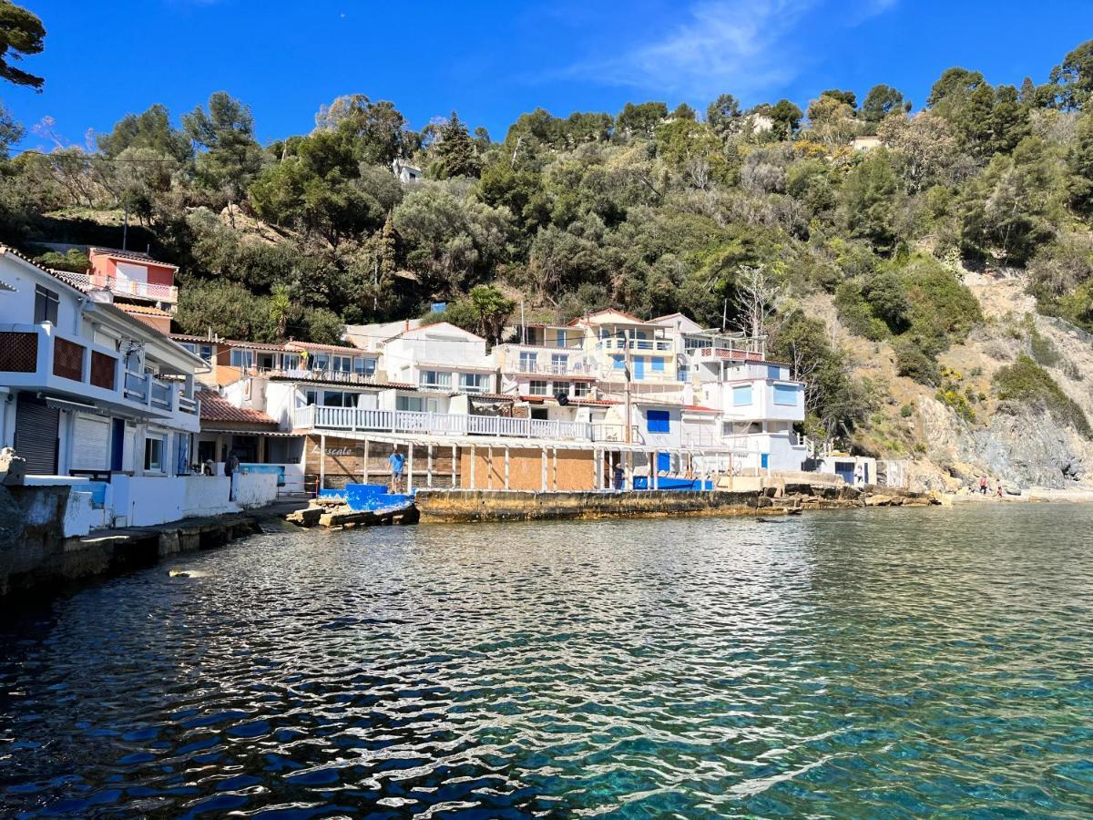 Cosy Provencal Διαμέρισμα Belgentier Εξωτερικό φωτογραφία